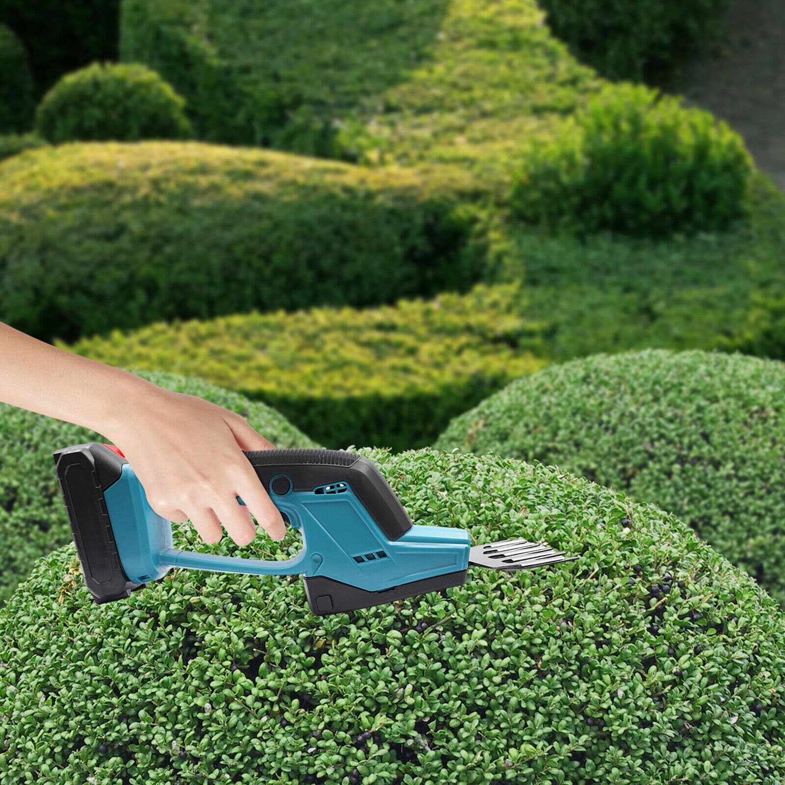 Product image 17